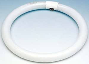 TUBO FLUORESCENTE REDONDO ROBLAN 32W 6000K